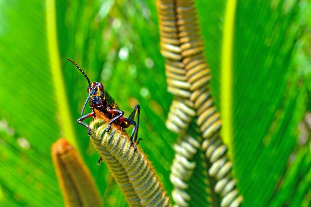 Shooting Challenge: Spring Gallery 1