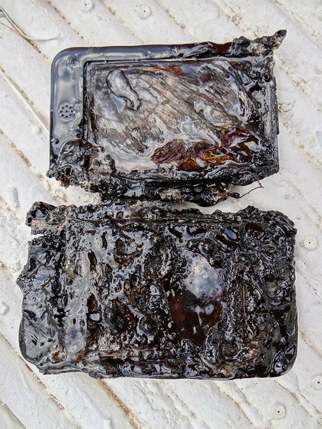 Let's All Watch a Nintendo 3DS Melt in a Microwave. Then Turn up on Ebay For $2241.