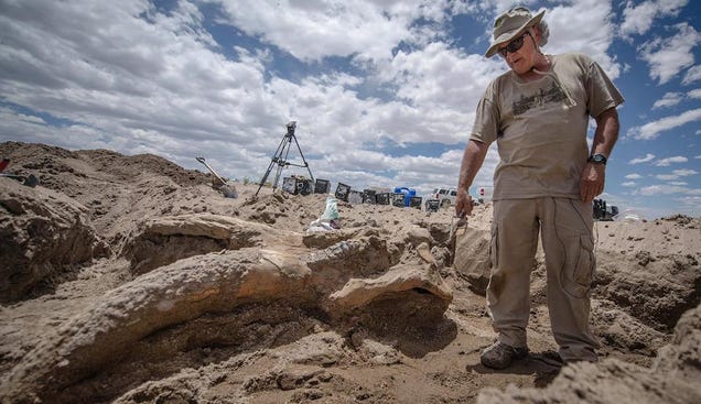 Bachelor Party Finds One Last Taste of Freedom, Also a Mastodon Skull