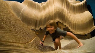 Eight Tons of Cardboard Molded Into an Imaginary Landscape