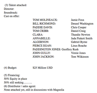 What Are This Con Artist Gatecrasher's Fake Movie Projects?
