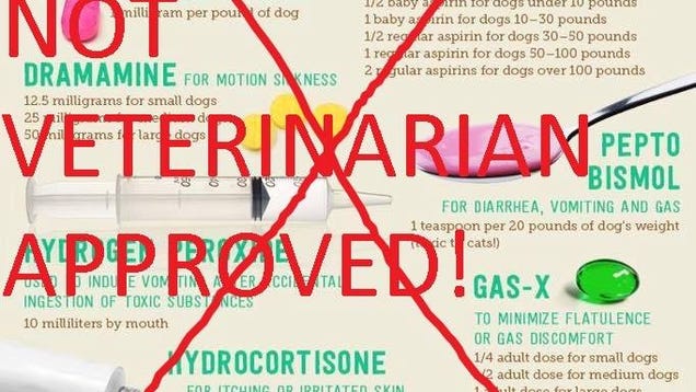 2019 year - 5 OTC Meds That Could Do More Harm Than Good 2019 year