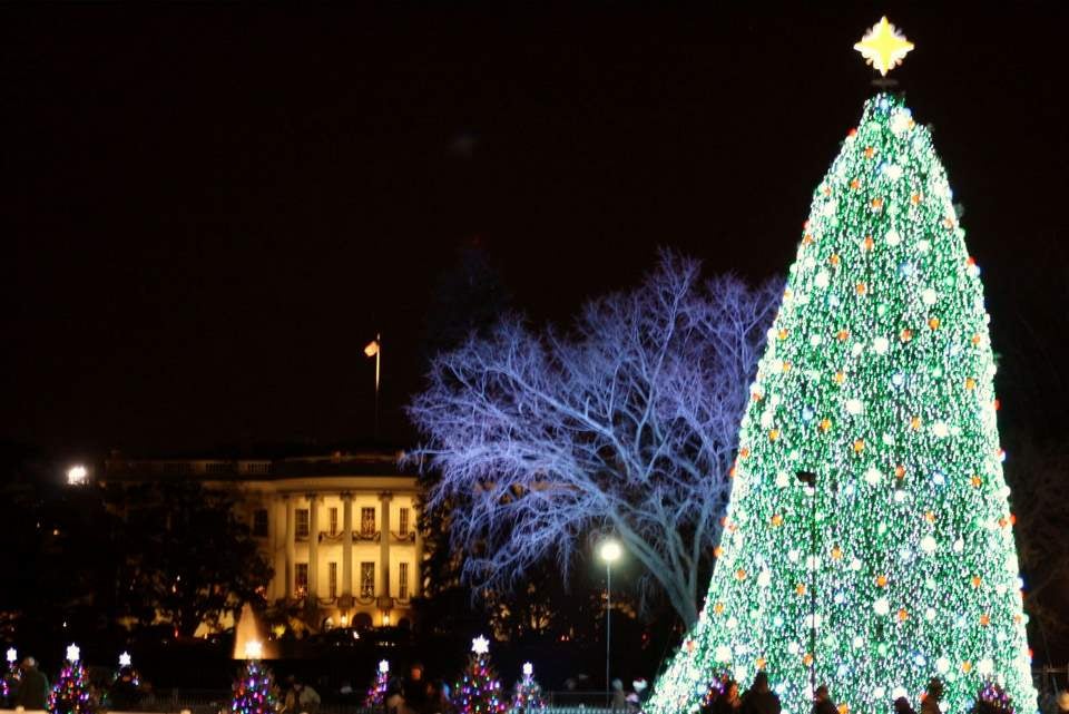 how christmas tree lights evolved from major to mild fire how christmas tree lights evolved from major to mild fire