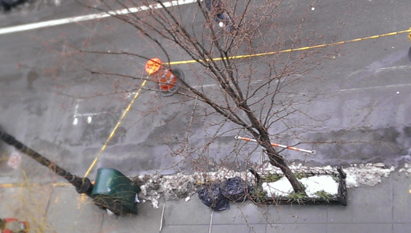 Did Sean Parker Mess Up 10th St. Just to Get Fios in His $20 M. Home?