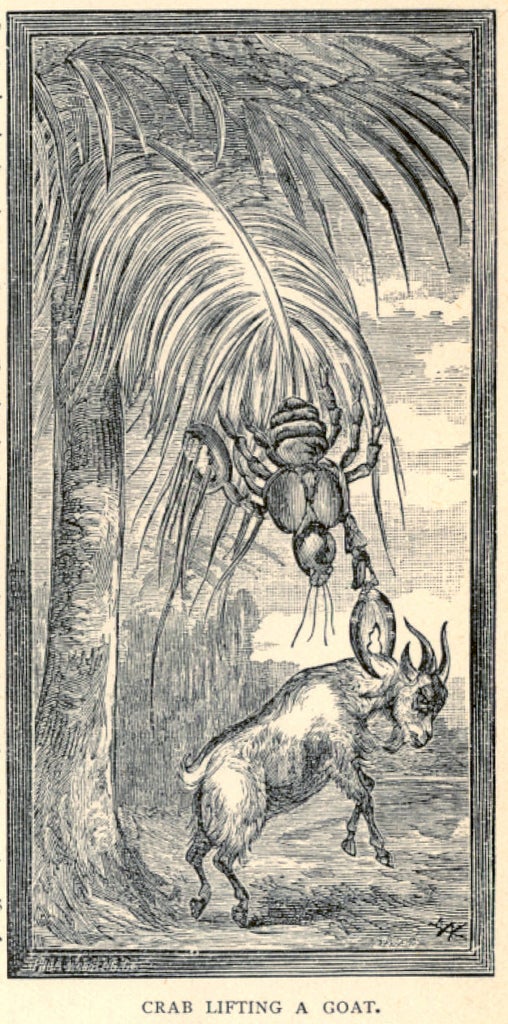 This gruesome 1889 biology book outlined the many ways animals will kill us