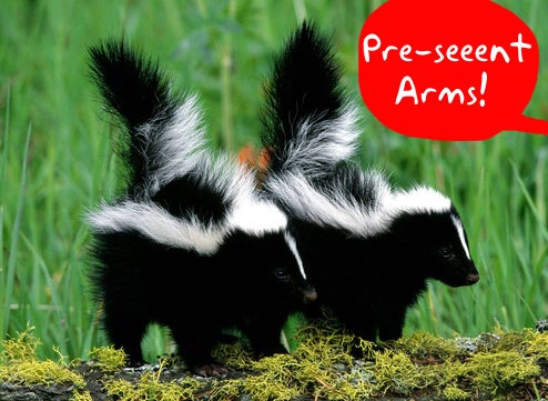 Israel Deploys Crowd Control Skunk Bomb for the First Time