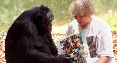 Let's Talk Dirty to the Animals