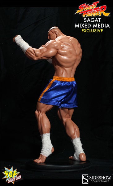 Sagat Won't Just Tiger Uppercut Your Face, He'll Get Your Wallet, Too