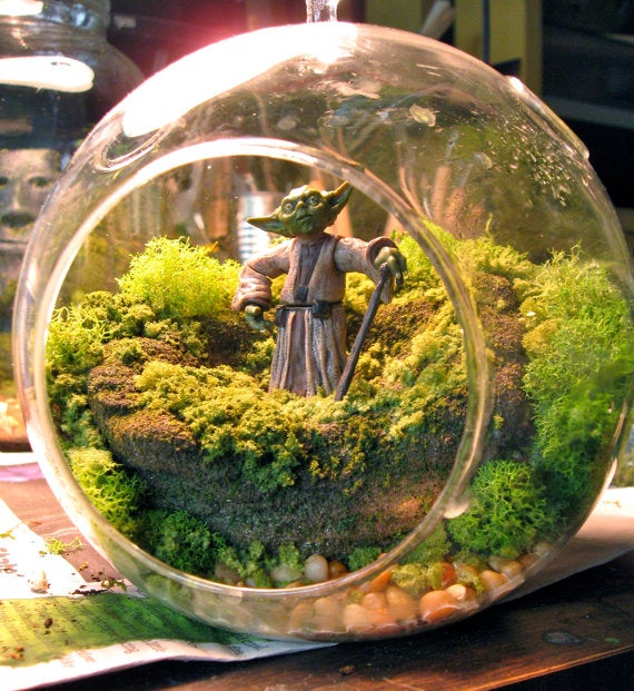 Star Wars terrariums bring a little piece of Dagobah into your home