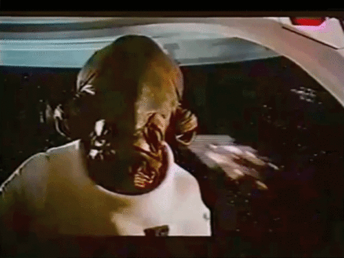 Here's the Biggest Animated GIF Party Ever—and You're Invited to Join