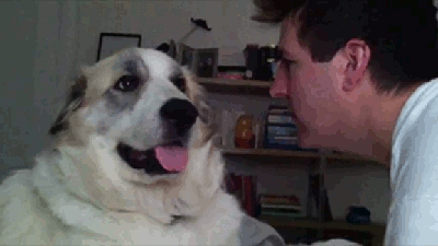 Here's the Biggest Animated GIF Party Ever—and You're Invited to Join