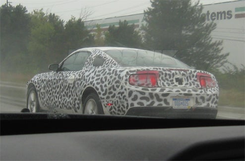 2010 Ford Mustang In The Nude!