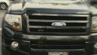 Amazing Story About Owl Stuck in Florida Woman's Car Grill Yields Amazing Animated GIF