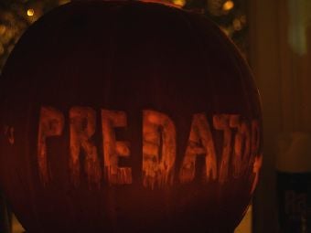 Kotaku's Super Huge Pumpkin Patch (Part One)