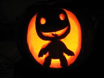 Kotaku's Super Huge Pumpkin Patch (Part One)