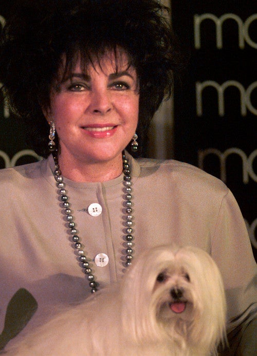 Elizabeth Taylor's Life In Front Of The Camera