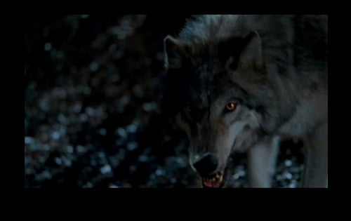 True Blood: "Conscience Off, Dick On"