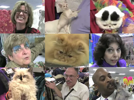 Attack Of The Cat People: On The Scene At The CFA-IAMS Cat Championship