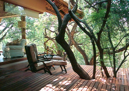 Who Doesn't Want to Live In This House With Elephants In the Garden?