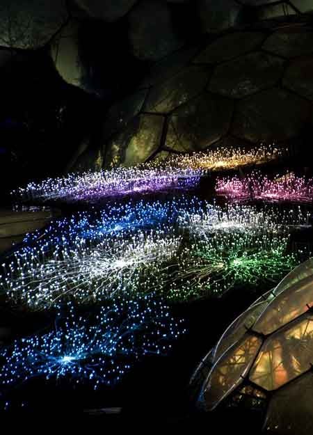 Fiber Optic Sculpture Transforms Field into a Luminous Alien Landscape