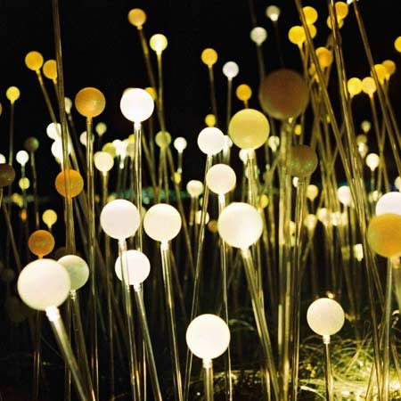 Fiber Optic Sculpture Transforms Field into a Luminous Alien Landscape