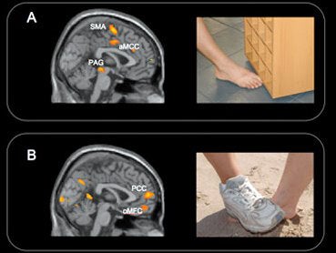 Brain Scans Reveal that Teen Bullies Get Pleasure from Your Pain