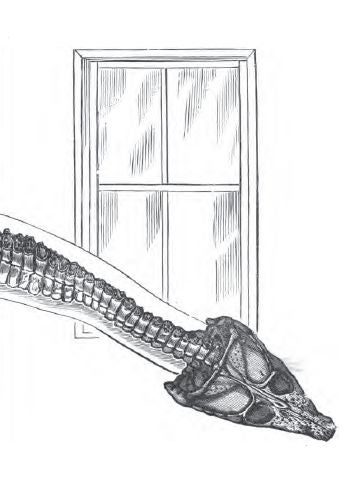 How the Democrats Tried to Destroy Dinosaur Art