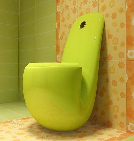 Post-Singularity Toilets