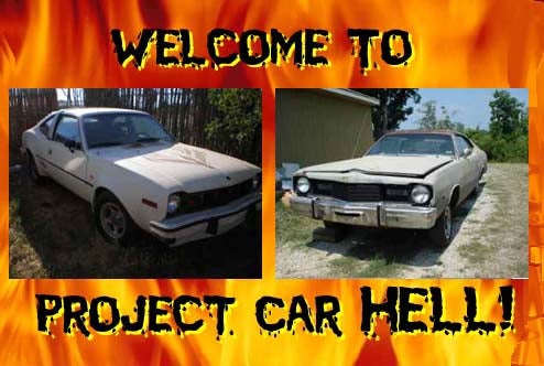 Project Car Hell, Malaise Special Editions: Hang 10 Dart or Levi's Edition AMX?