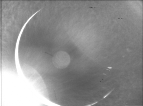 Earth's Most Distant Web Cam Pics Went Live This Week