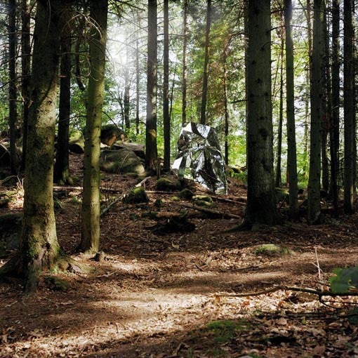 Highly-Advanced Cloaking Device Unveiled in French Forest