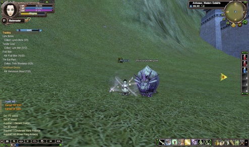 Training Wheels: My First MMO