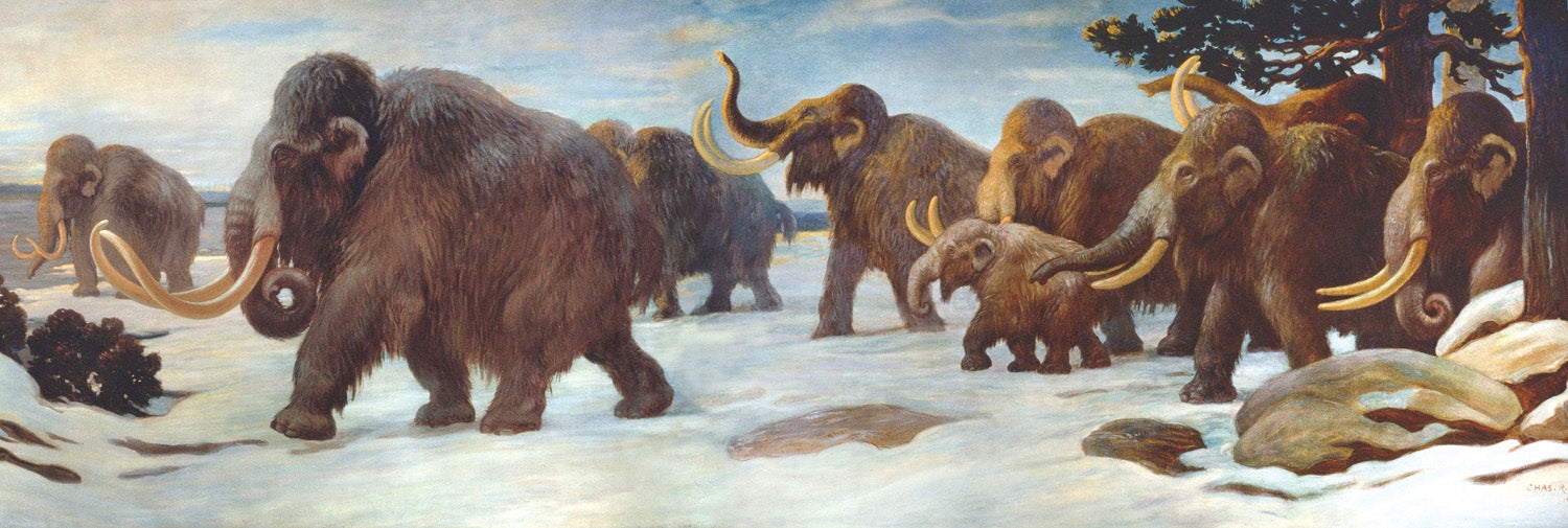Celebrating Charles R. Knight, the artist who first brought dinosaurs and megafauna to life