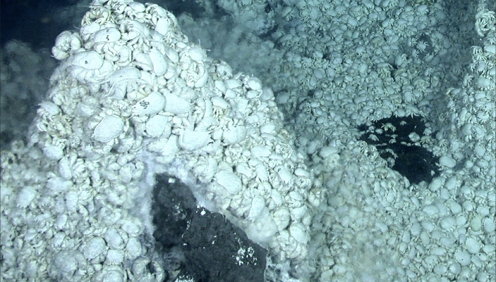 Lost World Discovered Under Antarctica