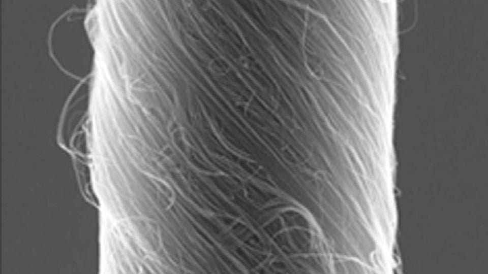 Scientists have used carbon nanotubes to engineer the most powerful artificial muscles ever