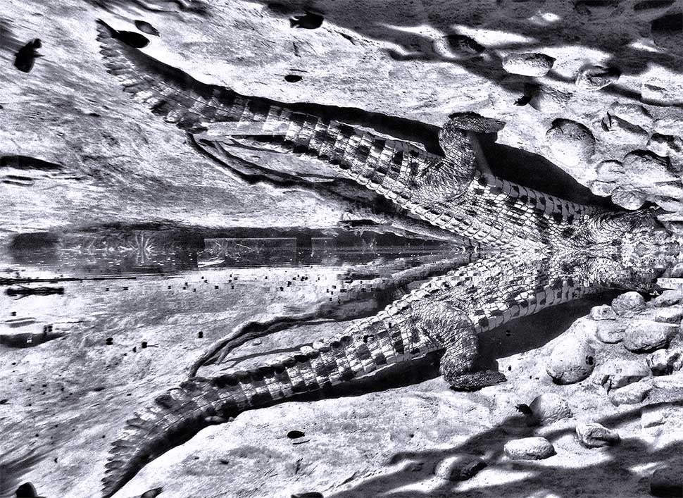 19 Photos Of (Near) Perfect Symmetry