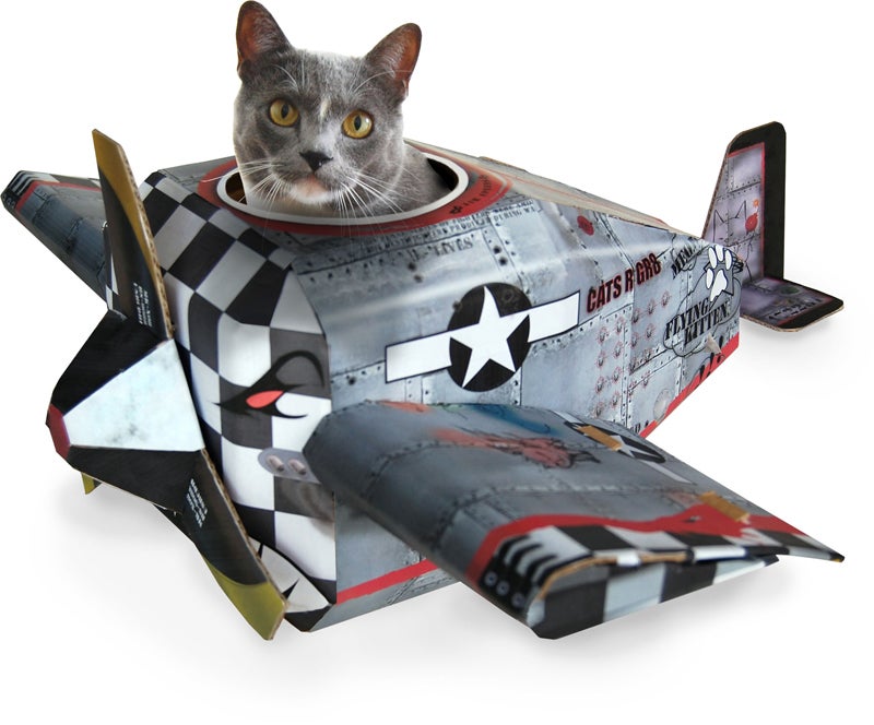 The Cat's Meow