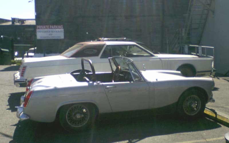 Shark And Minnow In Port Angeles
