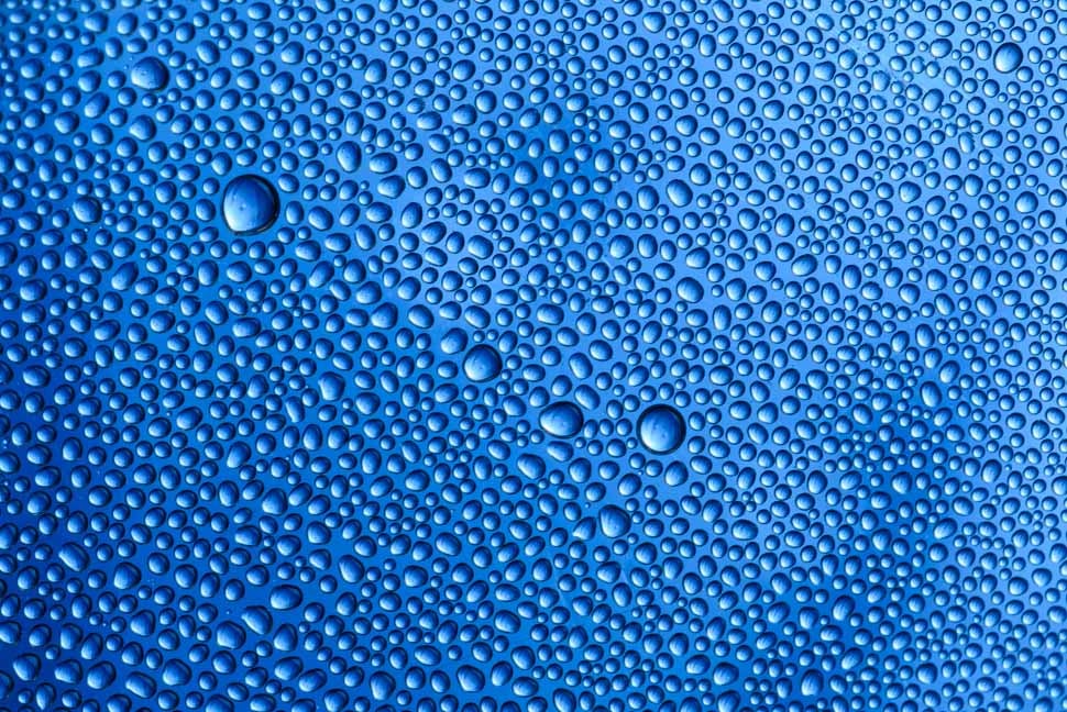 33 Photos Taken In One Amazing Color