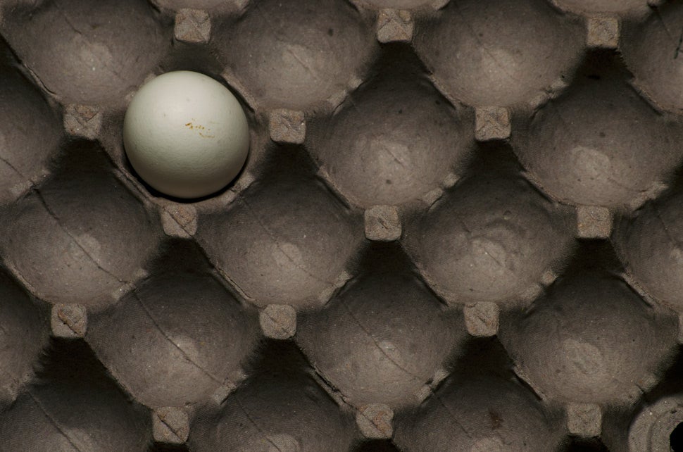 33 Photos Taken In One Amazing Color