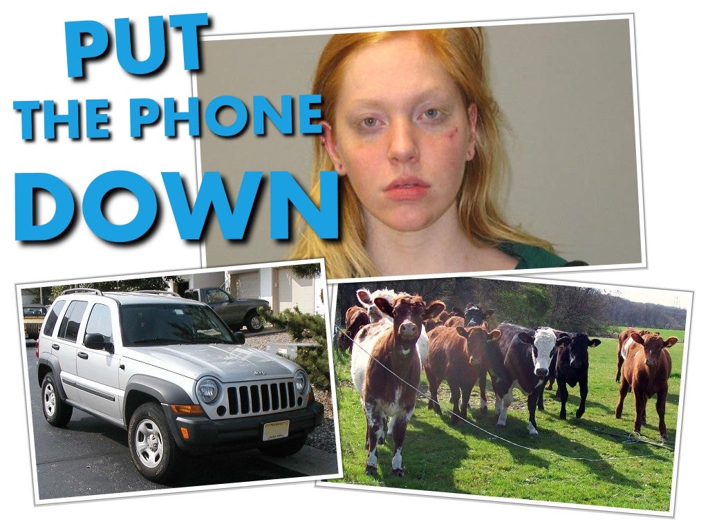 Woman Uses Cell Phone While Driving Plows Into Cows 