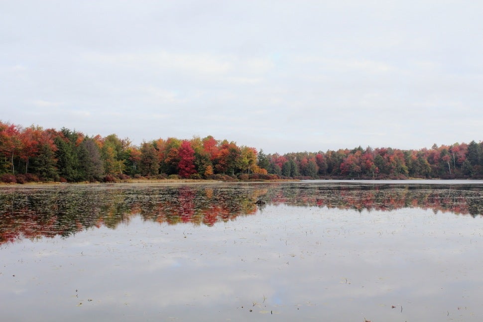 40 Stunning Photos Of Fall Foliage