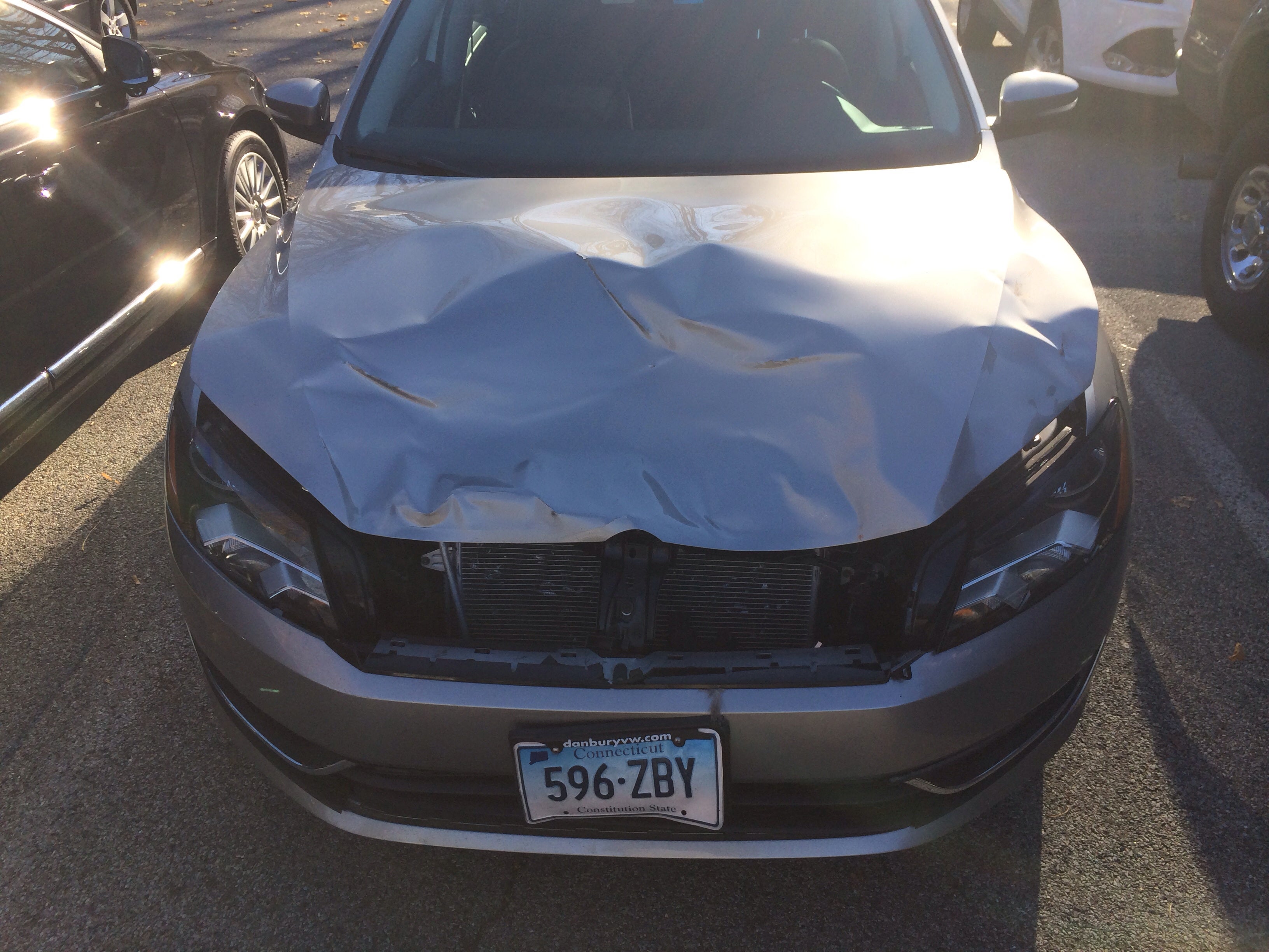 Are deer attracted to Volkswagen TDIs?