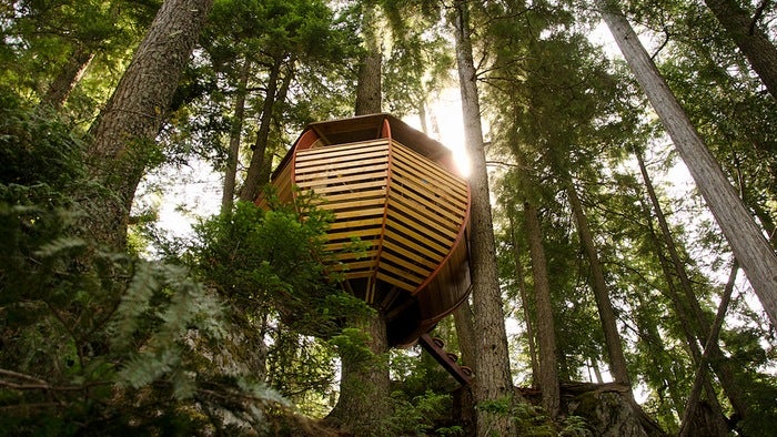 These Are The Most Amazing Tree Houses Ever