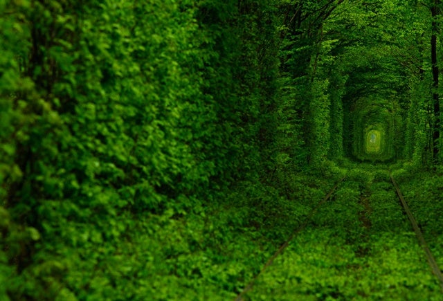 These Extraordinary Tunnels Look Like Gateways to Other Worlds