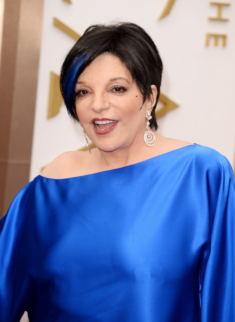 Here Are Liza Minnelli&#39;s Nipples