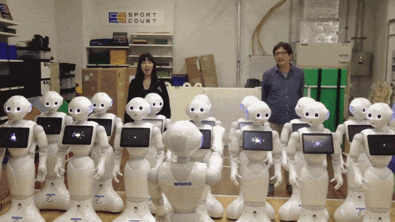 japan pepper robots