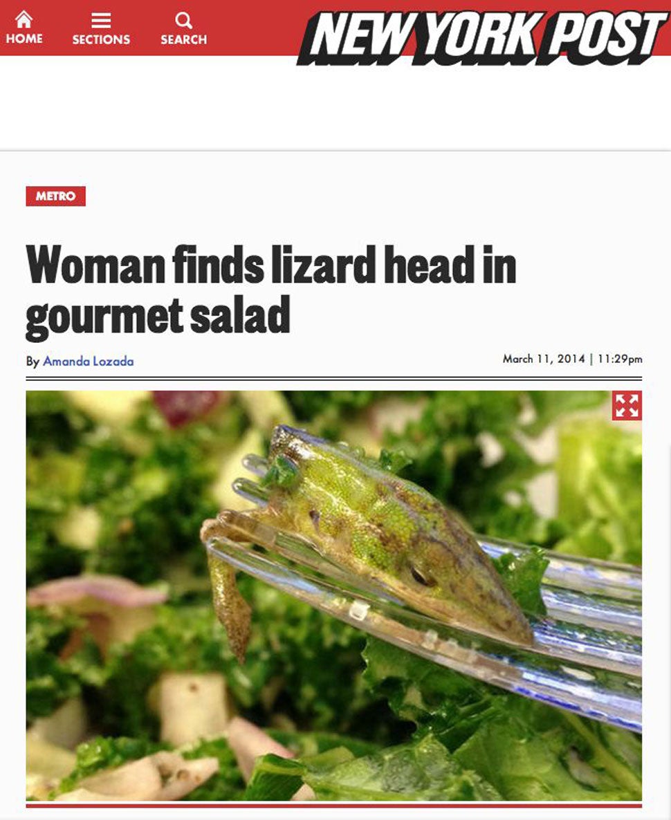 I Can&#39;t Stop Staring at This Lizard Head a Woman Found in Her Salad