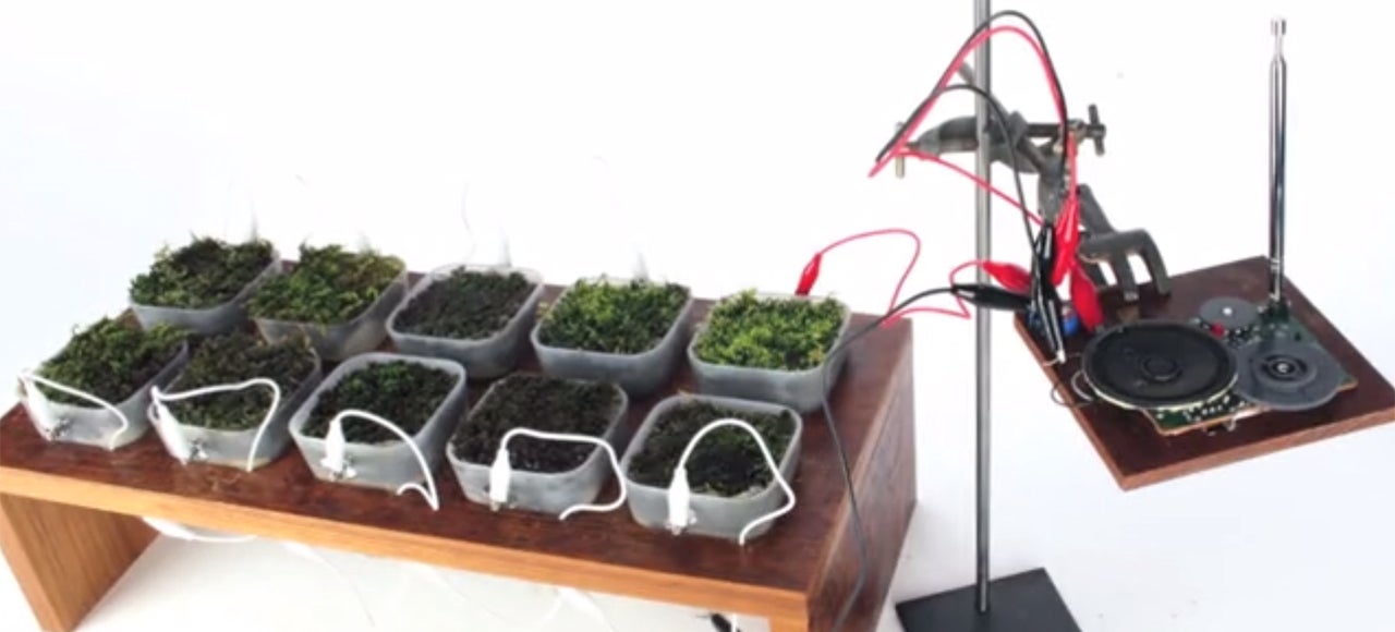 Moss-Covered Table Uses Photosynthesis To Power an FM Radio