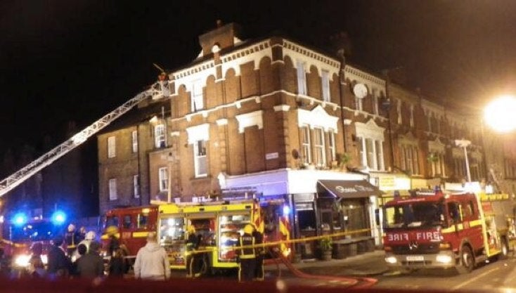 Cigarette-Smoking Bird Almost Burns Down London Apartment